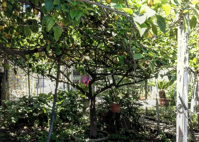 B&B Rectina Pompei